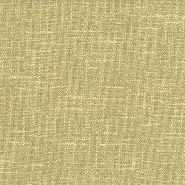 San Carlos Aloe by Kasmir Designer Fabric See sample 100% Polyester
 INDIA 25,000 Wyzenbeek Double Rubs </p><p>Repeat: Horizontal: N/A and Vertical: N/A 54 - Swanky Fabrics -