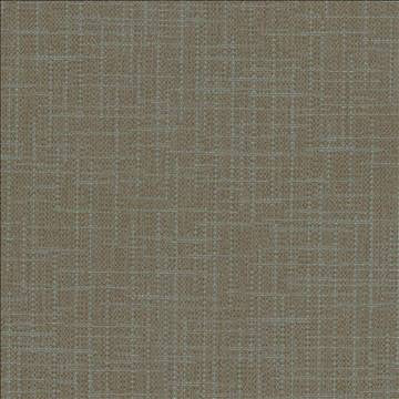 San Carlos Graphite by Kasmir Designer Fabric 5050 100% Polyester INDIA 25,000 Wyzenbeek Double Rubs H: N/A, V: N/A 54 - 55 - Swanky Fabrics - Kasmir