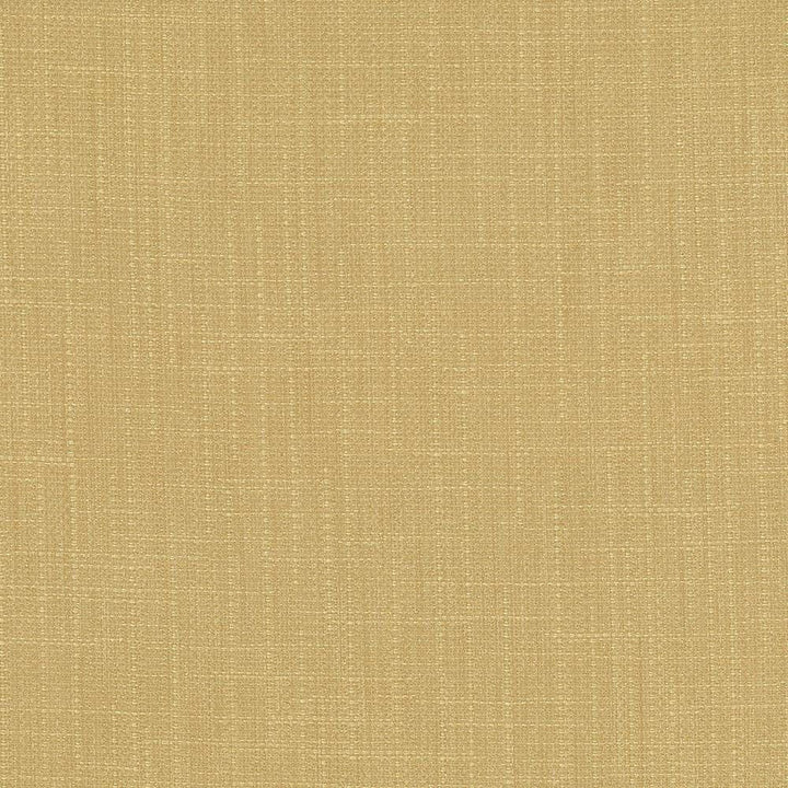 San Carlos Hemp  by Kasmir Designer Fabric 5050 100% Polyester
 INDIA 25,000 Wyzenbeek Double Rubs Horizontal: N/A and Vertical: N/A 54  - Swanky Fabrics -