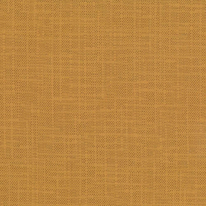 San Carlos Maize  by Kasmir Designer Fabric 5050 100% Polyester
 INDIA 25,000 Wyzenbeek Double Rubs Horizontal: N/A and Vertical: N/A 54  - Swanky Fabrics -