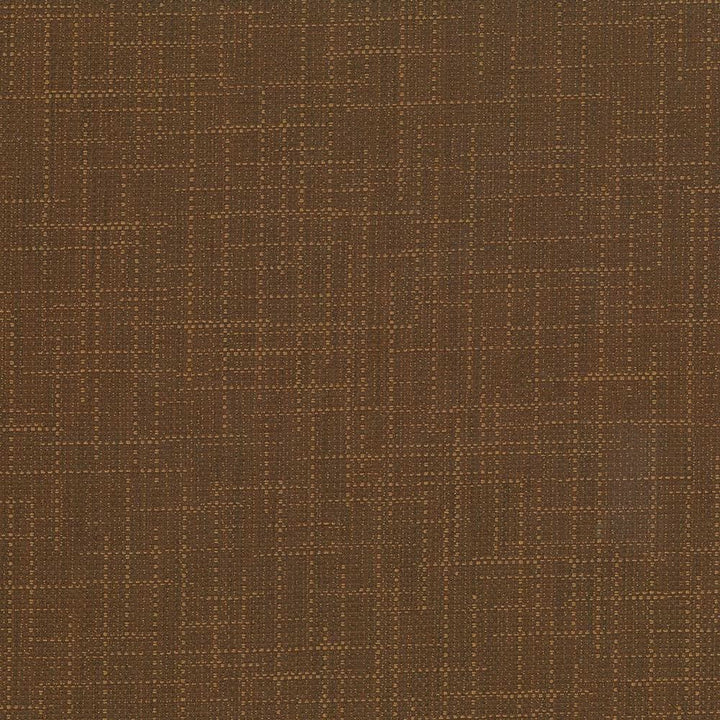 San Carlos Mink  by Kasmir Designer Fabric 5050 100% Polyester
 INDIA 25,000 Wyzenbeek Double Rubs Horizontal: N/A and Vertical: N/A 54  - Swanky Fabrics -