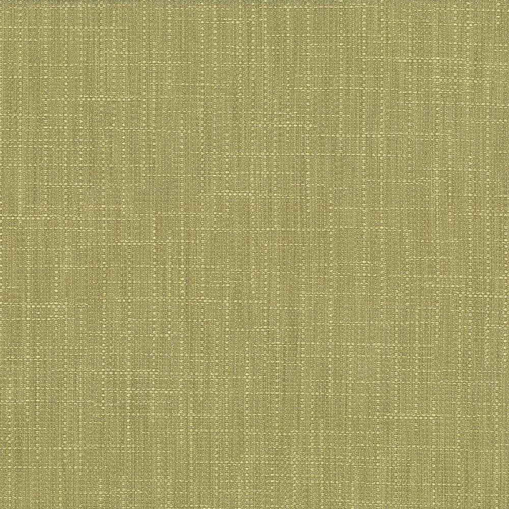 San Carlos Moss by Kasmir Designer Fabric 5050 100% Polyester
 INDIA 25,000 Wyzenbeek Double Rubs </p><p>Repeat: Horizontal: N/A and Vertical: N/A 54 - Swanky Fabrics -