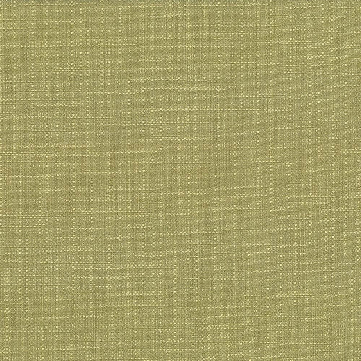 San Carlos Moss by Kasmir Designer Fabric See sample 100% Polyester
 INDIA 25,000 Wyzenbeek Double Rubs </p><p>Repeat: Horizontal: N/A and Vertical: N/A 54 - Swanky Fabrics -