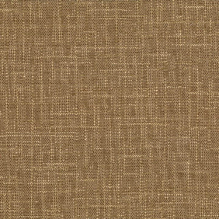 San Carlos Terrain by Kasmir Designer Fabric See sample 100% Polyester
 INDIA 25,000 Wyzenbeek Double Rubs </p><p>Repeat: Horizontal: N/A and Vertical: N/A 54 - Swanky Fabrics -