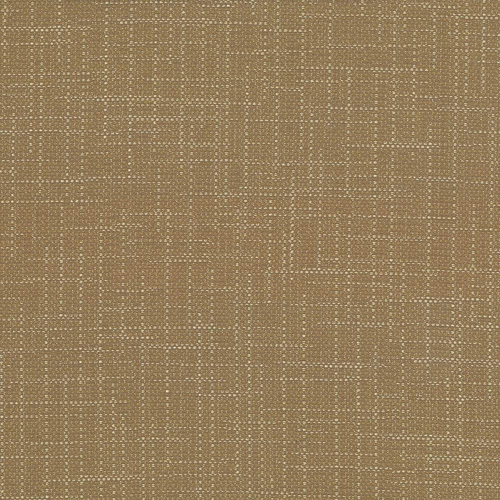 San Carlos Twine  by Kasmir Designer Fabric 5050 100% Polyester
 INDIA 25,000 Wyzenbeek Double Rubs Horizontal: N/A and Vertical: N/A 54  - Swanky Fabrics -
