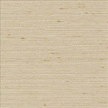 Santorini Bone by Kasmir Designer Fabric 5013 100% Polyester INDIA 30,000 Wyzenbeek Double Rubs H: N/A, V: N/A 54 - 55 - Swanky Fabrics - Kasmir