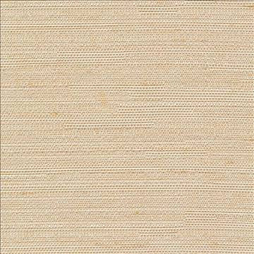 Santorini Champagne by Kasmir Designer Fabric 5013 100% Polyester INDIA 30,000 Wyzenbeek Double Rubs H: N/A, V: N/A 54 - 55 - Swanky Fabrics - Kasmir