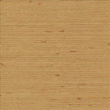 Santorini Gold Dust by Kasmir Designer Fabric 5013 100% Polyester INDIA 30,000 Wyzenbeek Double Rubs H: N/A, V: N/A 54 - 55 - Swanky Fabrics - Kasmir