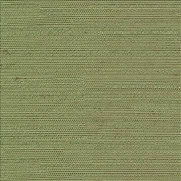 Santorini Leaf by Kasmir Designer Fabric 5013 100% Polyester INDIA 30,000 Wyzenbeek Double Rubs H: N/A, V: N/A 54 - 55 - Swanky Fabrics - Kasmir