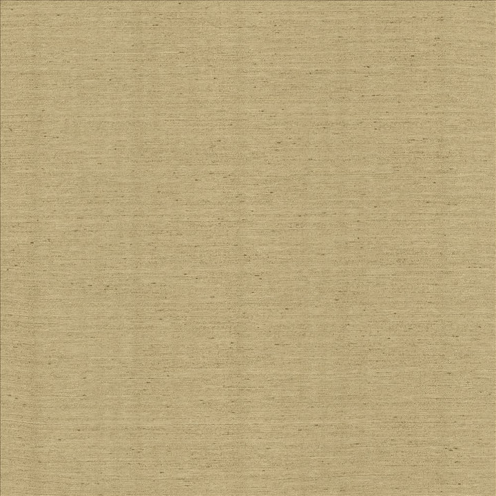 Santorini Pewter by Kasmir Designer Fabric See sample 100% Polyester
 INDIA 20,000 Wyzenbeek Double Rubs </p><p>Repeat: Horizontal: N/A and Vertical: N/A 54 - Swanky Fabrics -