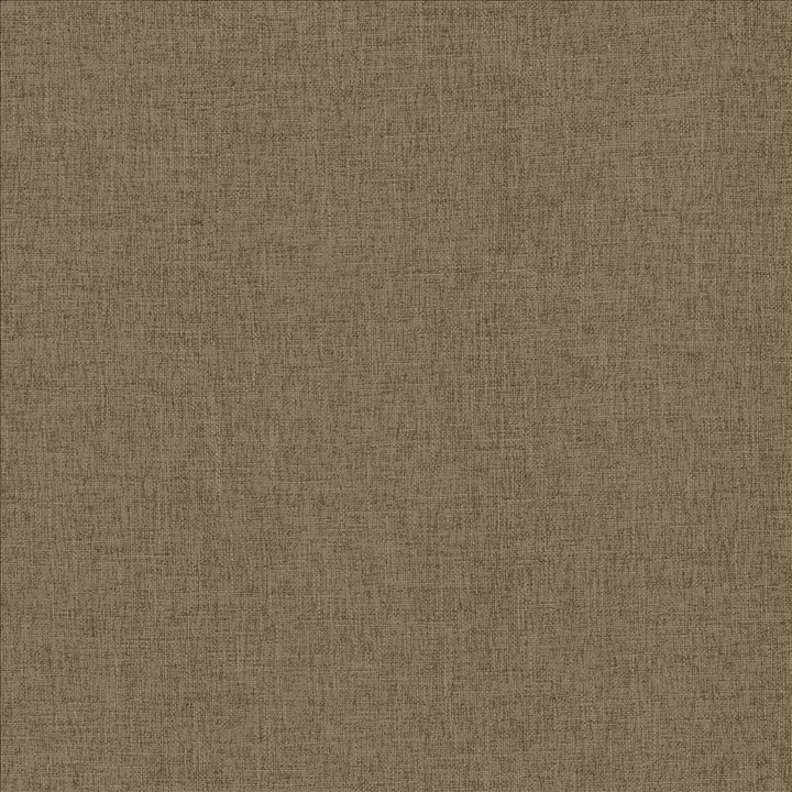 Scope Flax by Kasmir Designer Fabric 5159 100% Polyester CHINA 50,000 Wyzenbeek Double Rubs Horizontal: 0 Inches and Vertical: 0 Inches 54 - Swanky Fabrics -