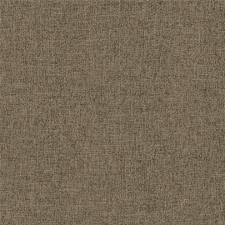 Scope Flax by Kasmir Designer Fabric 5159 100% Polyester
 CHINA 50,000 Wyzenbeek Double Rubs </p><p>Repeat: Horizontal: N/A and Vertical: N/A 54 - Swanky Fabrics -