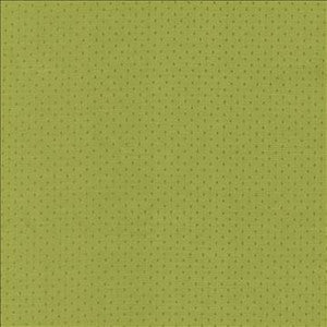 Kasmir Fabric Scruple Lime
