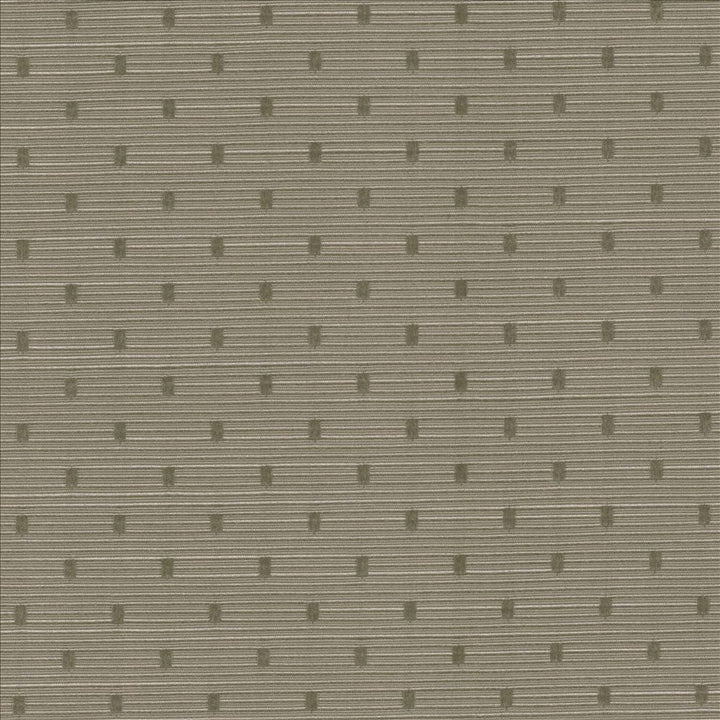 Scruple Slate  by Kasmir Designer Fabric 5100 100% Polyester
 INDIA 20,000 Wyzenbeek Double Rubs Horizontal: 6/8 inches and Vertical: 6/8 inches 54  - Swanky Fabrics -