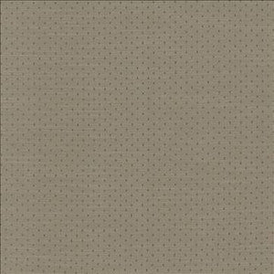 Kasmir Fabric Scruple Slate