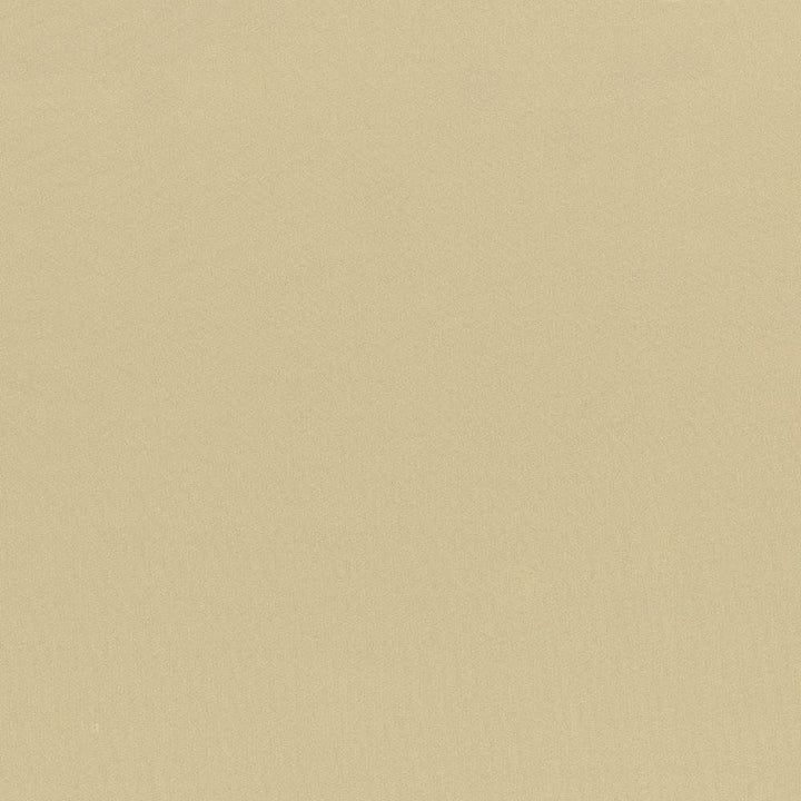 Seductive Almond by Kasmir Designer Fabric 5052 100% Polyester
 INDIA 6,000 Wyzenbeek Double Rubs </p><p>Repeat: Horizontal: N/A and Vertical: N/A 53 - Swanky Fabrics -