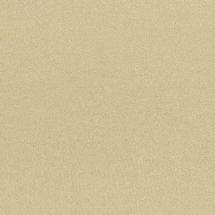Seductive Almond by Kasmir Designer Fabric 5052 100% Polyester
 INDIA </p><p>Repeat: Horizontal: N/A and Vertical: N/A 53 - Swanky Fabrics -