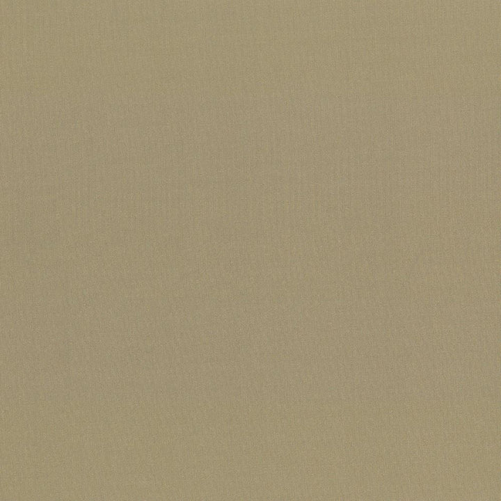 Seductive Antique by Kasmir Designer Fabric 5052 100% Polyester
 INDIA </p><p>Repeat: Horizontal: N/A and Vertical: N/A 53 - Swanky Fabrics -