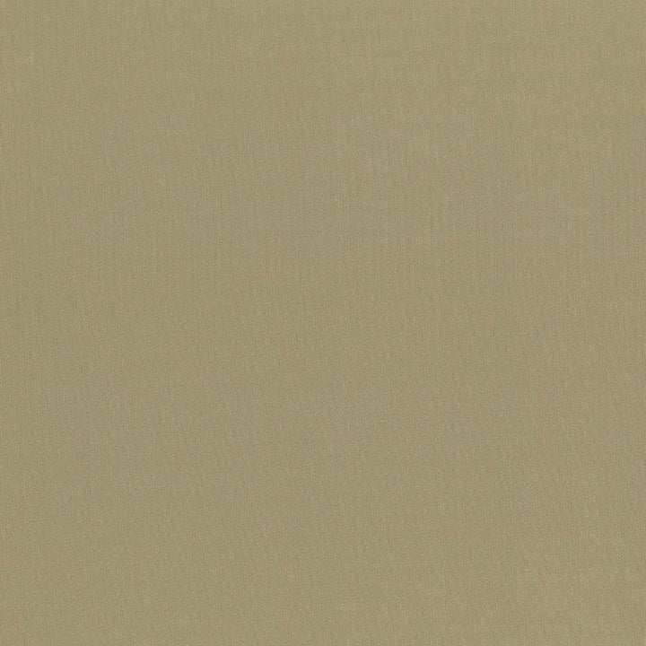 Seductive Antique by Kasmir Designer Fabric See sample 100% Polyester
 INDIA 6,000 Wyzenbeek Double Rubs </p><p>Repeat: Horizontal: N/A and Vertical: N/A 53 - Swanky Fabrics -