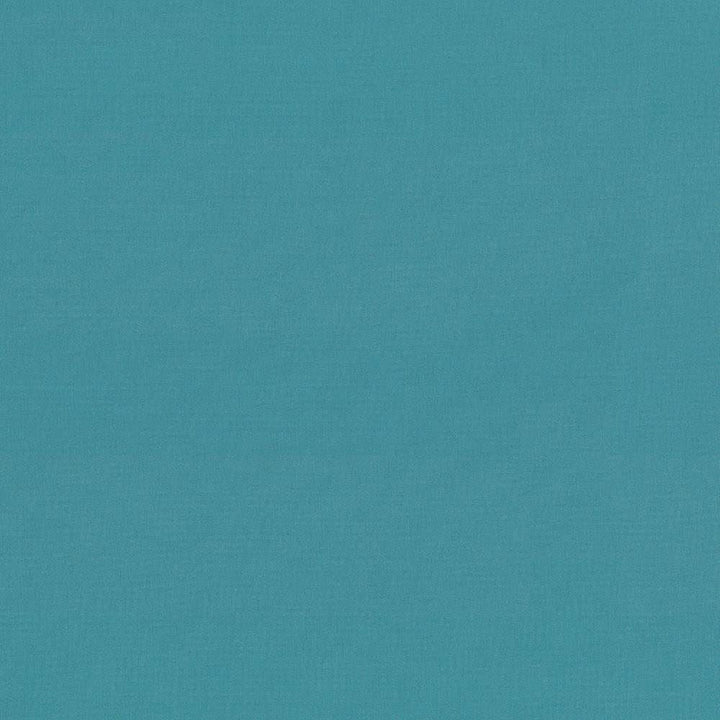 Seductive Baltic by Kasmir Designer Fabric 5052 100% Polyester INDIA 6,000 Wyzenbeek Double Rubs Horizontal: 0 Inches and Vertical: 0 Inches 53 - Swanky Fabrics -
