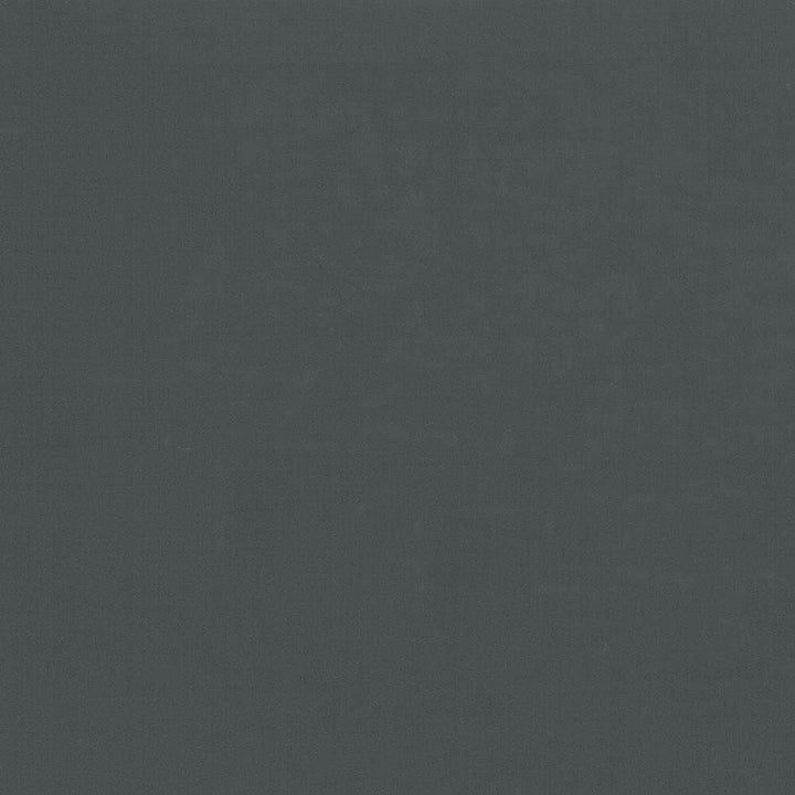 Seductive Black by Kasmir Designer Fabric See sample 100% Polyester
 INDIA 6,000 Wyzenbeek Double Rubs </p><p>Repeat: Horizontal: N/A and Vertical: N/A 53 - Swanky Fabrics -