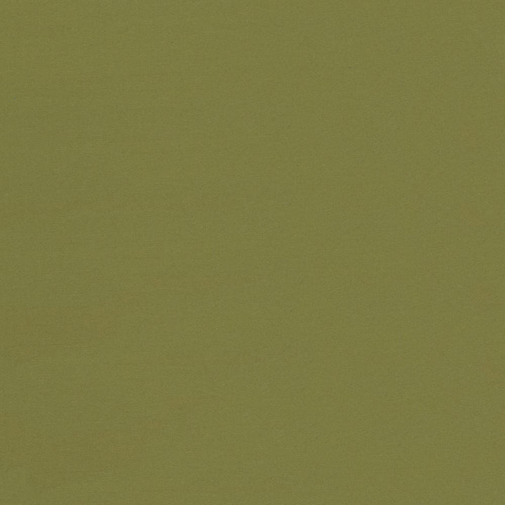Seductive Cedar by Kasmir Designer Fabric 5052 100% Polyester
 INDIA </p><p>Repeat: Horizontal: N/A and Vertical: N/A 53 - Swanky Fabrics -