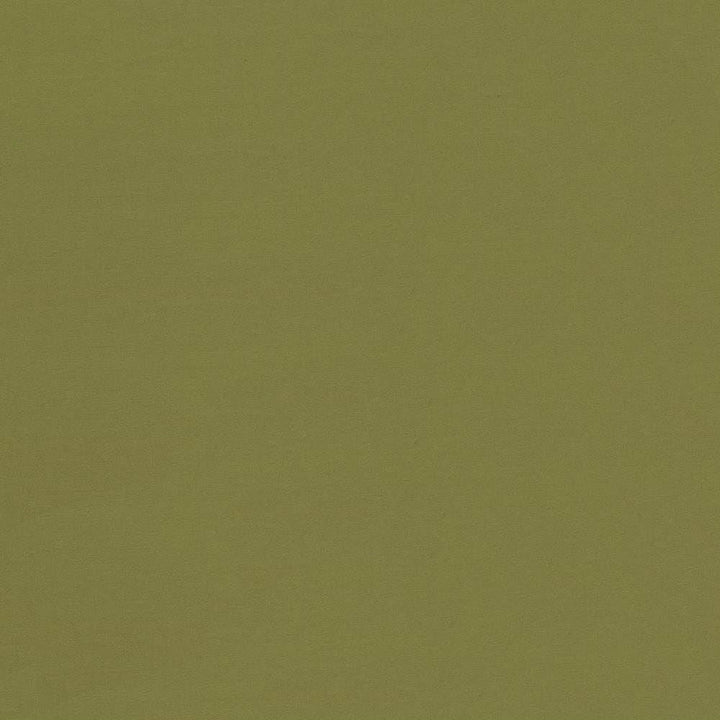 Seductive Cedar  by Kasmir Designer Fabric 5052 100% Polyester
 INDIA 6,000 Wyzenbeek Double Rubs Horizontal: N/A and Vertical: N/A 53  - Swanky Fabrics -