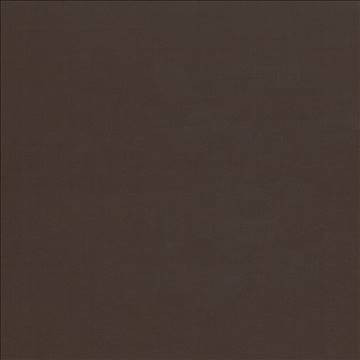 Seductive Chocolate by Kasmir Designer Fabric 5052 100% Polyester INDIA 6,000 Wyzenbeek Double Rubs H: N/A, V: N/A 53 - Swanky Fabrics - Kasmir