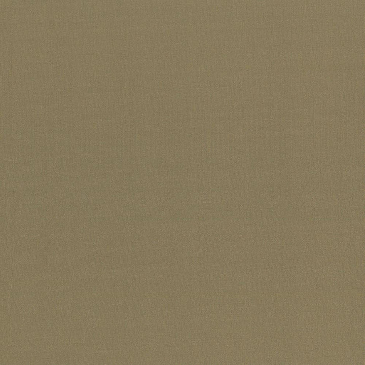 Seductive Herb by Kasmir Designer Fabric 5052 100% Polyester
 INDIA </p><p>Repeat: Horizontal: N/A and Vertical: N/A 53 - Swanky Fabrics -