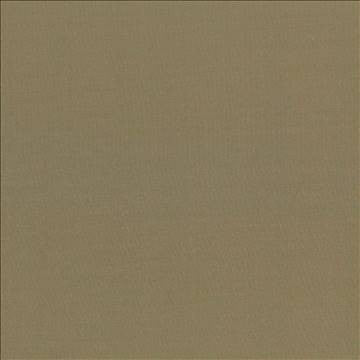 Seductive Herb by Kasmir Designer Fabric 5052 100% Polyester INDIA 6,000 Wyzenbeek Double Rubs H: N/A, V: N/A 53 - Swanky Fabrics - Kasmir
