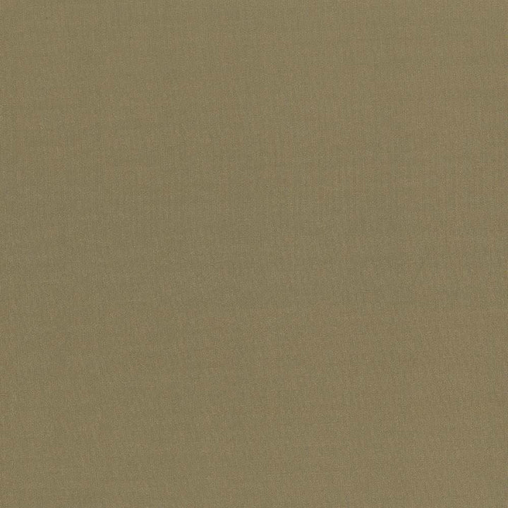 Seductive Herb by Kasmir Designer Fabric 5052 100% Polyester INDIA 6,000 Wyzenbeek Double Rubs Horizontal: 0 Inches and Vertical: 0 Inches 53 - Swanky Fabrics -