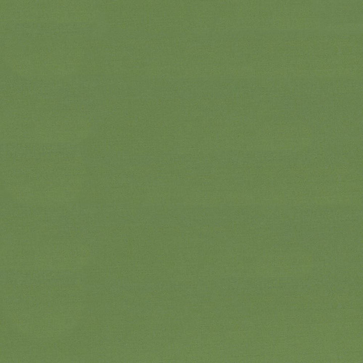 Seductive Jade by Kasmir Designer Fabric 5052 100% Polyester
 INDIA </p><p>Repeat: Horizontal: N/A and Vertical: N/A 53 - Swanky Fabrics -