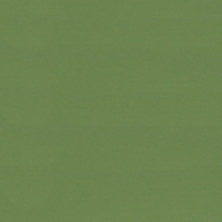 Seductive Jade by Kasmir Designer Fabric 5052 100% Polyester INDIA 6,000 Wyzenbeek Double Rubs Horizontal: 0 Inches and Vertical: 0 Inches 53 - Swanky Fabrics -