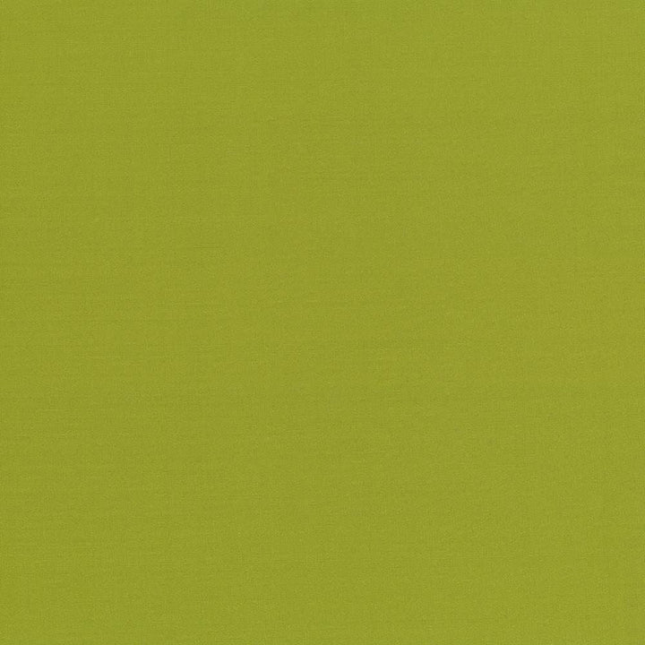 Seductive Kiwi by Kasmir Designer Fabric 5052 100% Polyester INDIA 6,000 Wyzenbeek Double Rubs Horizontal: 0 Inches and Vertical: 0 Inches 53 - Swanky Fabrics -