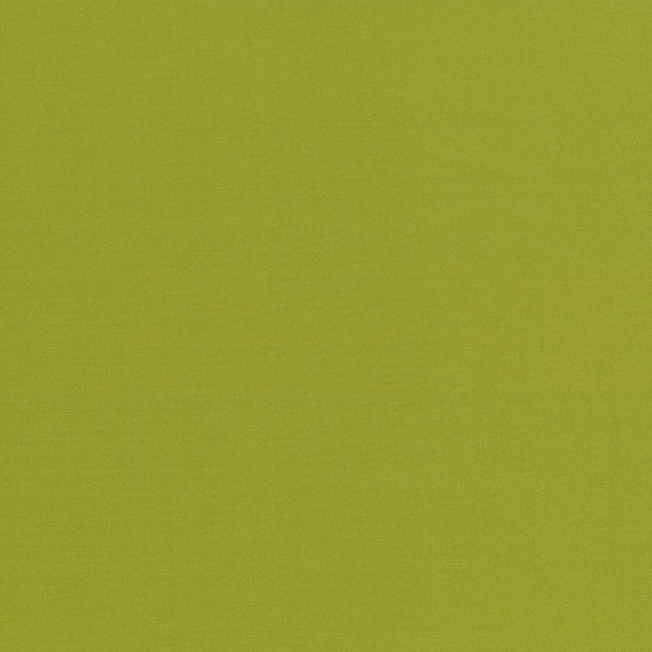 Seductive Kiwi by Kasmir Designer Fabric 5052 100% Polyester
 INDIA </p><p>Repeat: Horizontal: N/A and Vertical: N/A 53 - Swanky Fabrics -