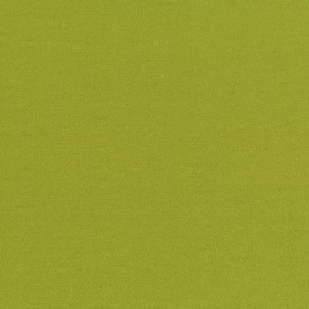 Seductive Kiwi by Kasmir Designer Fabric 5052 100% Polyester
 INDIA 6,000 Wyzenbeek Double Rubs </p><p>Repeat: Horizontal: N/A and Vertical: N/A 53 - Swanky Fabrics -