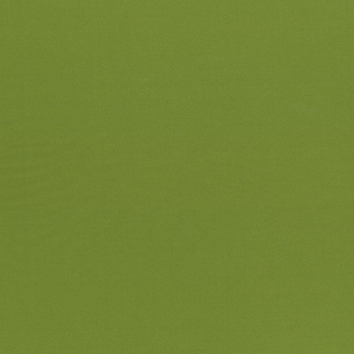 Seductive Olive by Kasmir Designer Fabric 5052 100% Polyester
 INDIA </p><p>Repeat: Horizontal: N/A and Vertical: N/A 53 - Swanky Fabrics -