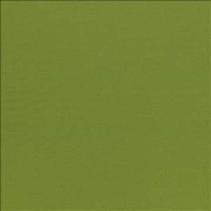 Kasmir Fabric Seductive Olive