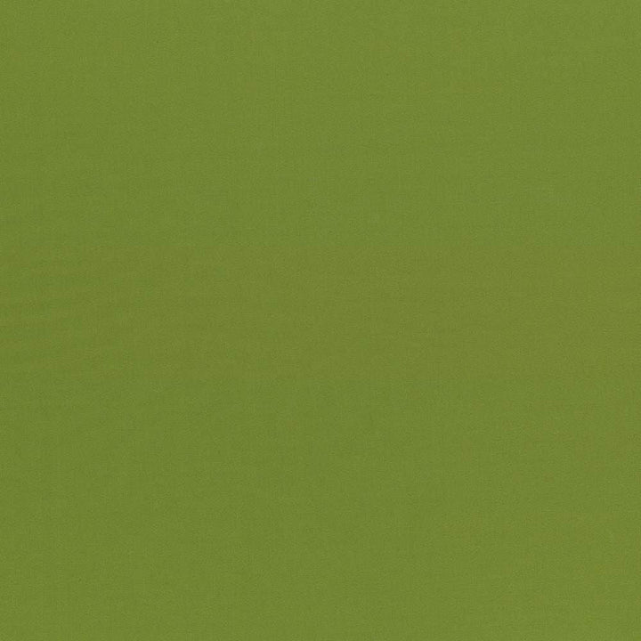Seductive Olive by Kasmir Designer Fabric 5052 100% Polyester INDIA 6,000 Wyzenbeek Double Rubs Horizontal: 0 Inches and Vertical: 0 Inches 53 - Swanky Fabrics -