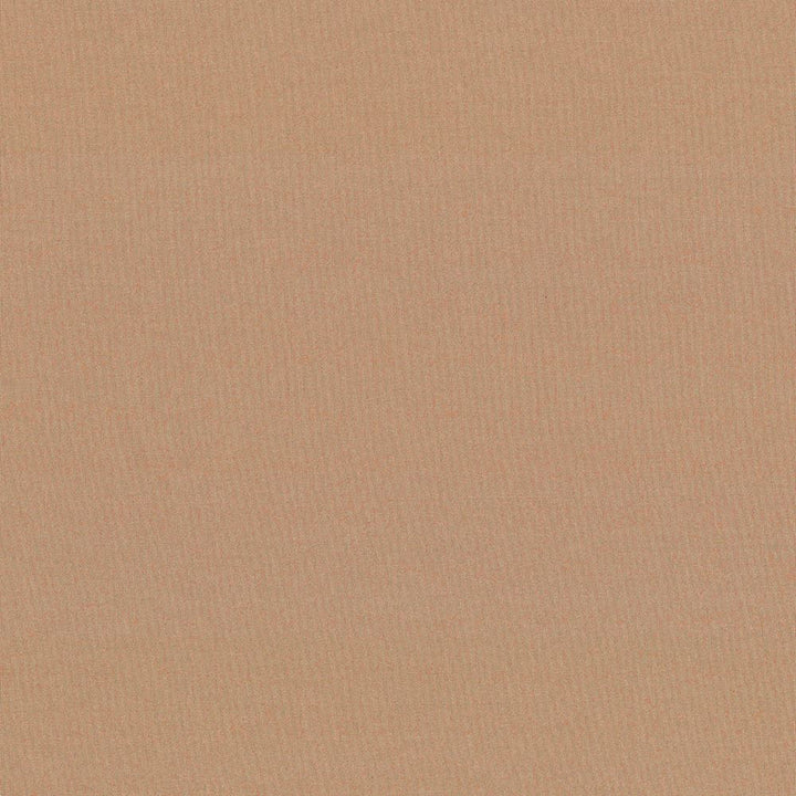 Seductive Pecan by Kasmir Designer Fabric 5052 100% Polyester
 INDIA </p><p>Repeat: Horizontal: N/A and Vertical: N/A 53 - Swanky Fabrics -