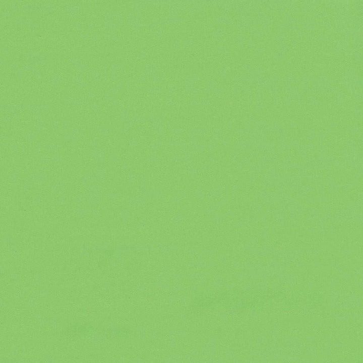 Seductive Spring by Kasmir Designer Fabric 5052 100% Polyester INDIA 6,000 Wyzenbeek Double Rubs Horizontal: 0 Inches and Vertical: 0 Inches 53 - Swanky Fabrics -