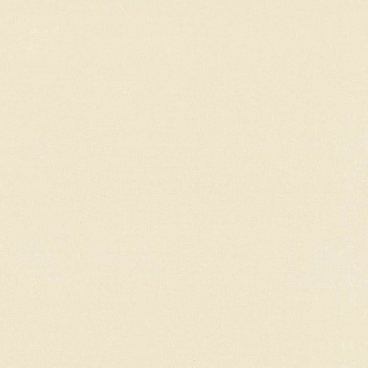 Seductive Straw by Kasmir Designer Fabric 5052 100% Polyester INDIA 6,000 Wyzenbeek Double Rubs Horizontal: 0 Inches and Vertical: 0 Inches 53 - Swanky Fabrics -
