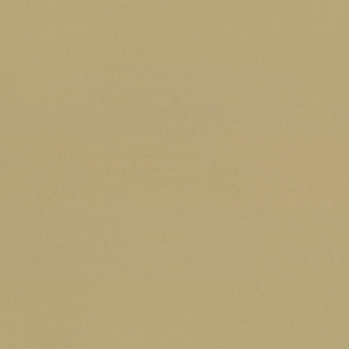 Seductive Tan by Kasmir Designer Fabric See sample 100% Polyester
 INDIA 6,000 Wyzenbeek Double Rubs </p><p>Repeat: Horizontal: N/A and Vertical: N/A 53 - Swanky Fabrics -