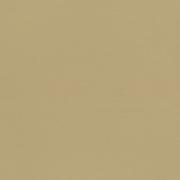 Seductive Tan by Kasmir Designer Fabric 5052 100% Polyester
 INDIA </p><p>Repeat: Horizontal: N/A and Vertical: N/A 53 - Swanky Fabrics -