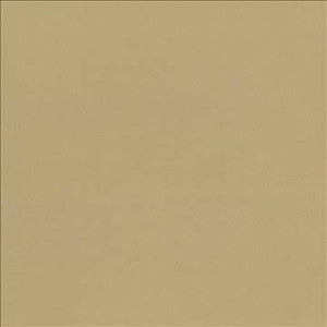 Kasmir Fabric Seductive Tan