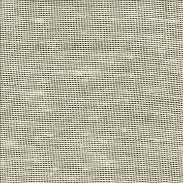 Sh365 Marble by Kasmir Designer Fabric 1283 100% Polyester USA - H: N/A, V: N/A 118 - Swanky Fabrics - Kasmir