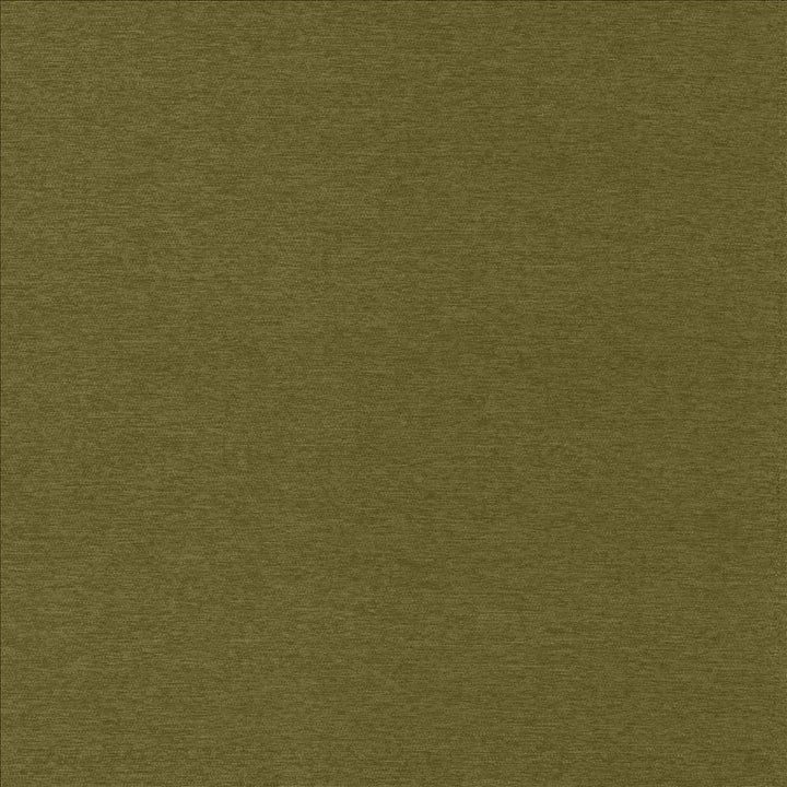 Sheena Avocado by Kasmir Designer Fabric 5159 95% Polyester 5% Nylon CHINA 50,000 Wyzenbeek Double Rubs Horizontal: 0 Inches and Vertical: 0 Inches 54 - Swanky Fabrics -