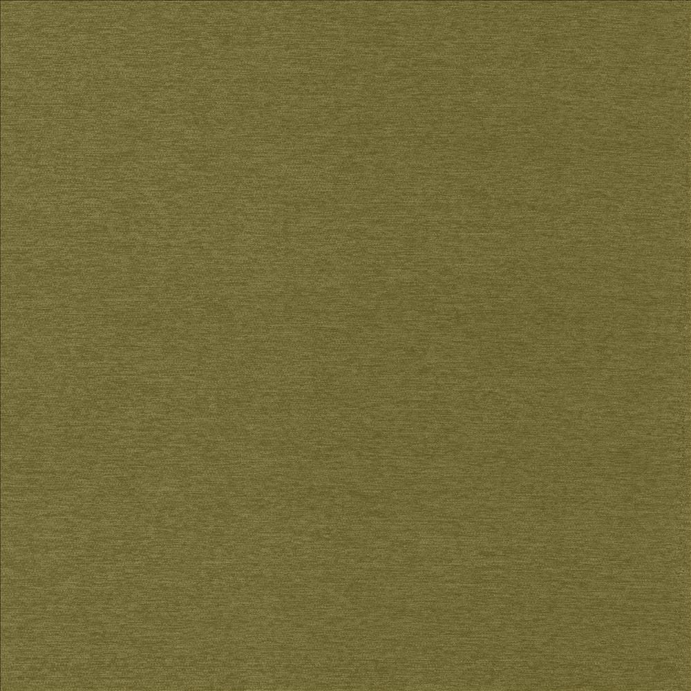 Sheena Avocado by Kasmir Designer Fabric 5159 95% Polyester
5% Nylon
 CHINA </p><p>Repeat: Horizontal: N/A and Vertical: N/A 54 - Swanky Fabrics -