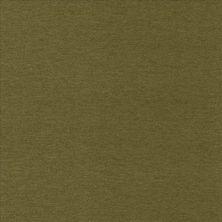 Sheena Avocado  by Kasmir Designer Fabric 5159 95% Polyester
5% Nylon
 CHINA 50,000 Wyzenbeek Double Rubs Horizontal: N/A and Vertical: N/A 54  - Swanky Fabrics -