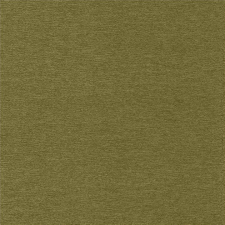 Sheena Avocado by Kasmir Designer Fabric 5159 95% Polyester
5% Nylon
 CHINA </p><p>Repeat: Horizontal: N/A and Vertical: N/A 54 - Swanky Fabrics -
